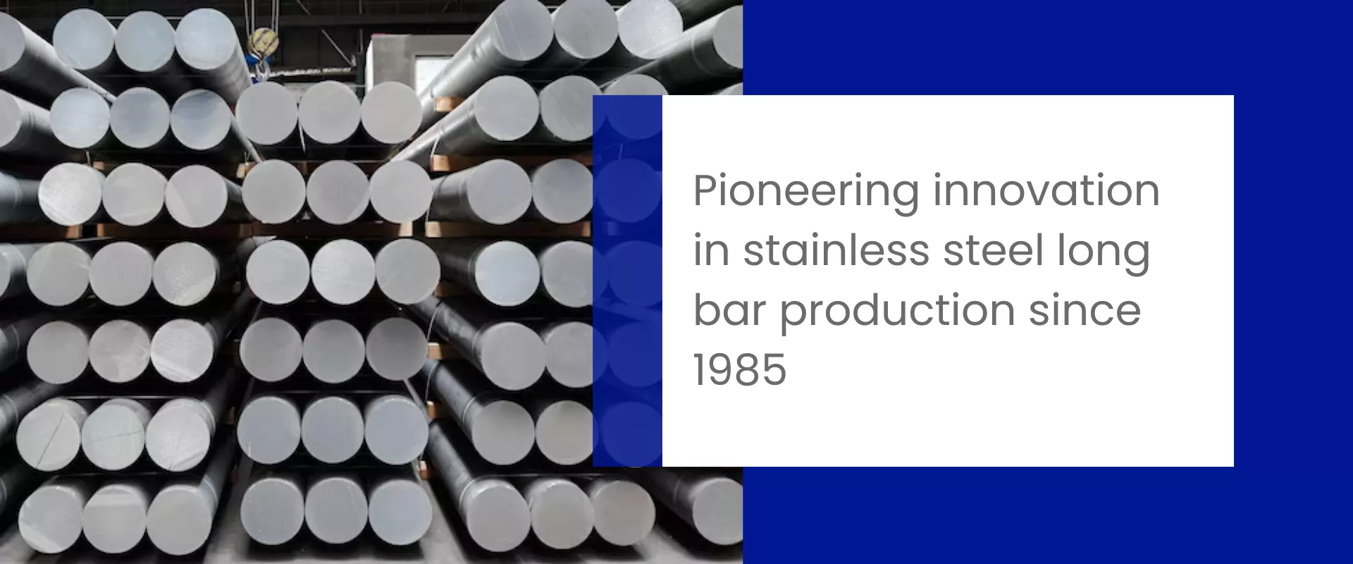 bhansali-home-page-banner-desktop-69402106ec3db